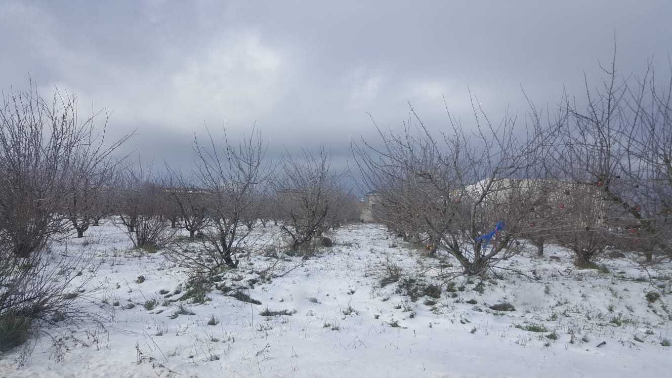 انحسار المنخفض مع بقاء الجو باردا واغلاق جبل الشيخ