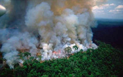 غابات الأمازون تحترق منذ أيام وتغطي المدن من حولها بسحاب أسود