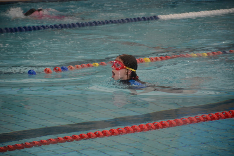 مشاركة واسعة في بطولة السباحة الثالثة بمنتجع الواحة